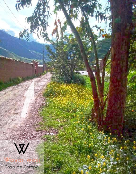 Gasthaus Wayqi Wasi Pisac Exterior foto