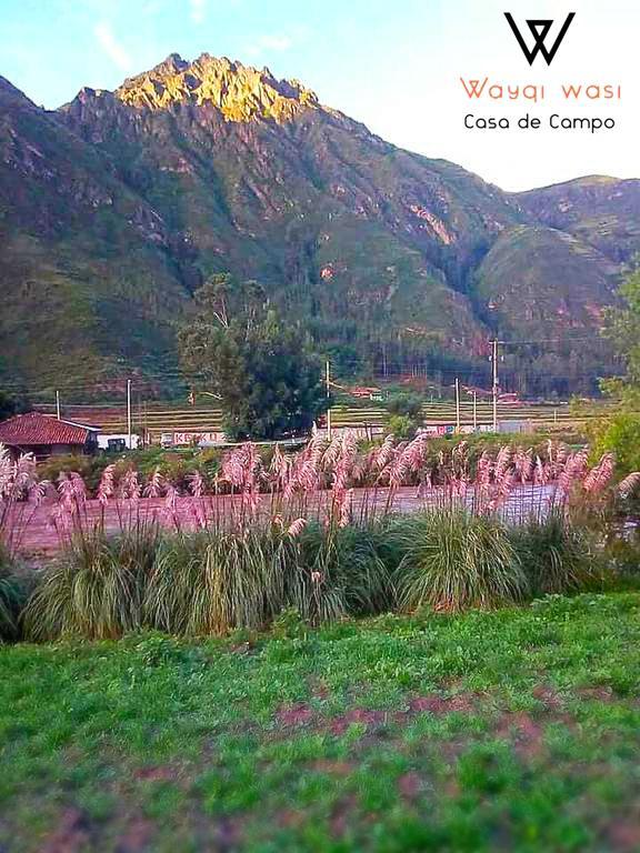 Gasthaus Wayqi Wasi Pisac Exterior foto