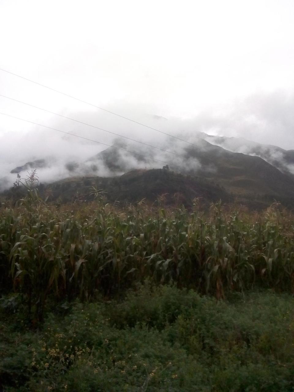 Gasthaus Wayqi Wasi Pisac Exterior foto