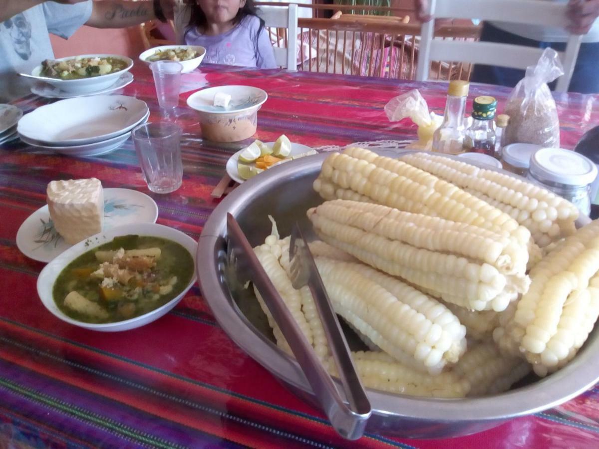 Gasthaus Wayqi Wasi Pisac Exterior foto